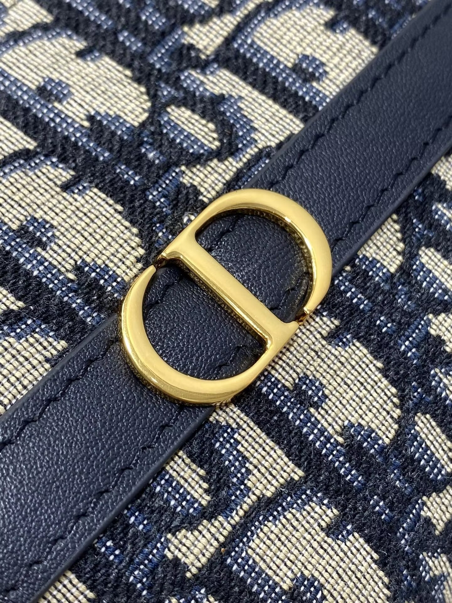 D*or 30 montaigne cigale mini bag 24x14x6.5cm